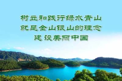 污水管变明渠!大涌镇洗水企业整治基本完成!
