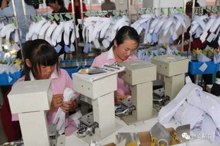 制衣车间的美女们 织里单身狗表示最想去的地方是服装厂