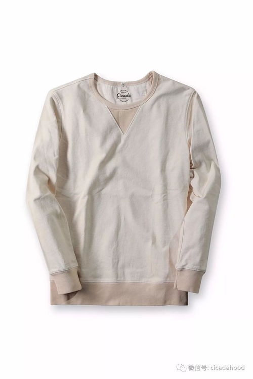 这件衣服太 污 了,简直让人受不了