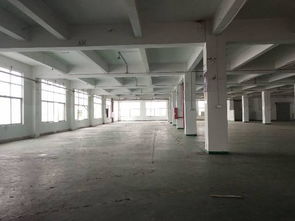 制衣厂 可办环评 配电大 番禺石基市莲路超靓园区厂房